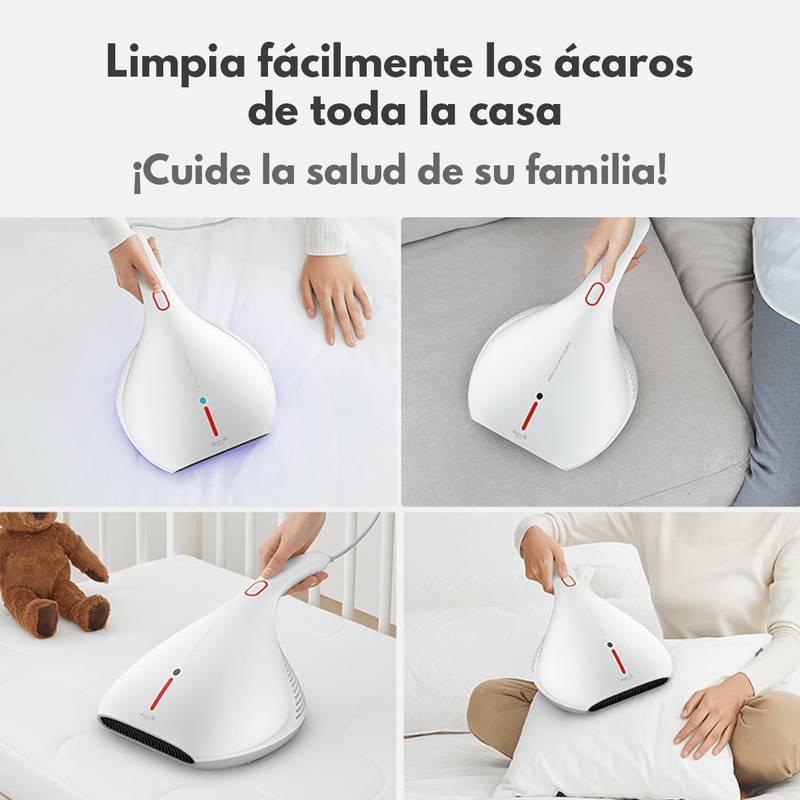Aspiradora anti ácaros CM800 + Aspiradora 2 en 1 DX118C // DX118C_GR